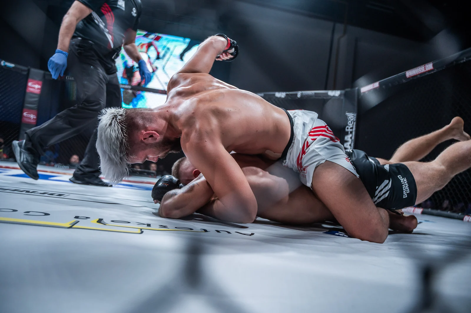 Legacy · after the fight